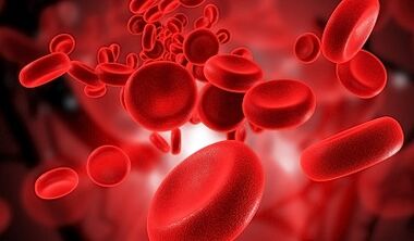 Lựa chọn chế độ ăn kiêng để giảm cân dựa trên nhóm máu